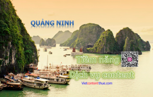 nhận viết content tại Quảng Ninh