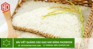 bài viết quảng cáo gạo