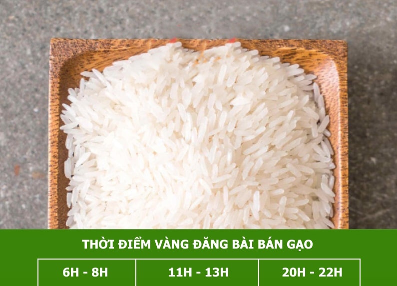 Thời gian vàng đăng bài bán gạo sẽ thu hút khách hàng