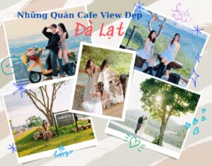 những quán cafe view đẹp ở Đà Lạt mới nhất